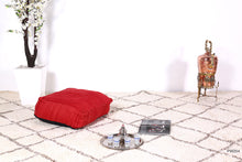 Load image into Gallery viewer, Berber Wool cushion