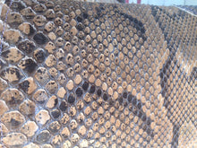 Load image into Gallery viewer, Genuine Snake Skin Handmade Boots